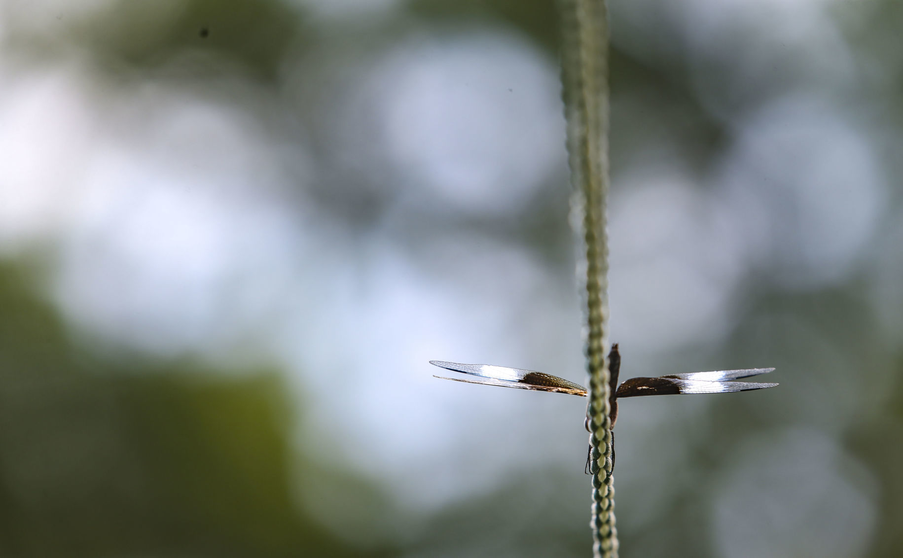 071319-jdc-aa-055